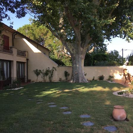 亞維農Mas Halcyon Provence住宿加早餐旅馆 外观 照片